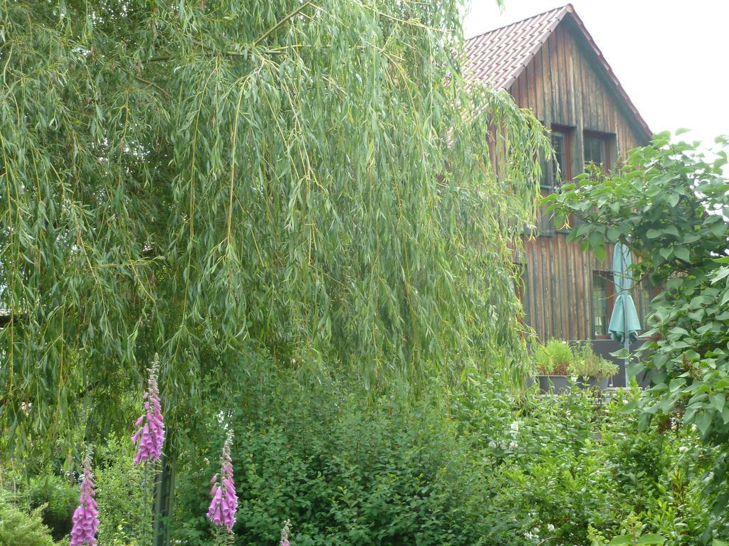 Ferienwohnung Lotti Brotterode Room photo